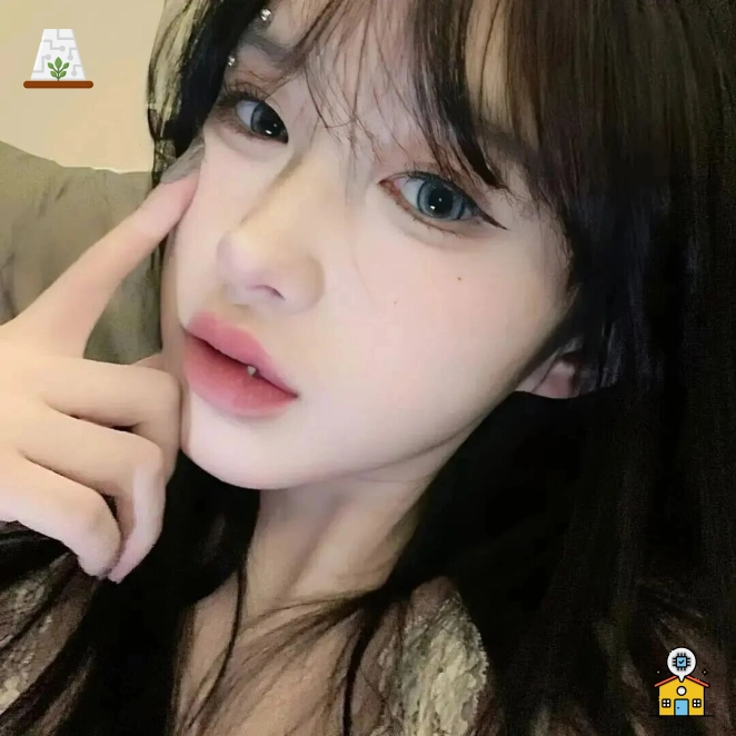 半夏